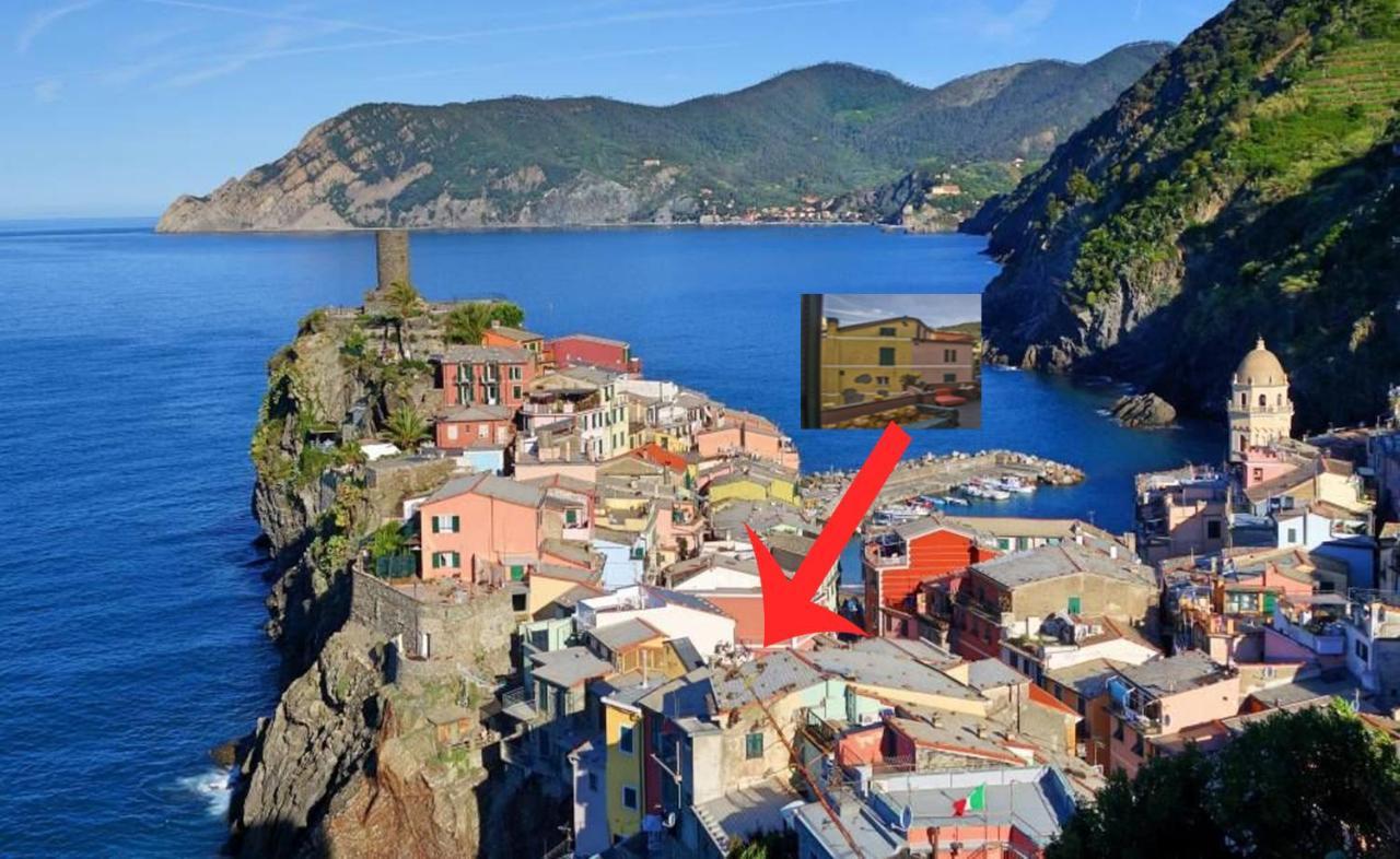 Lisetta Vernazza